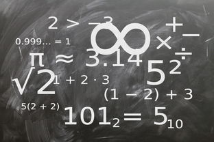 开云kaiyun-中小学体育教师教学技能提升研究，中小学体育教学的基本技能