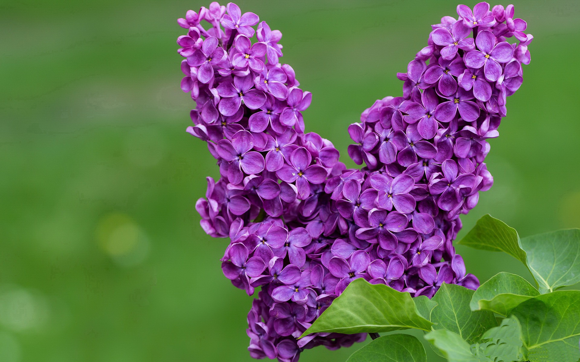 Kaiyun APP-运动干预在中学生抗压能力训练中的作用研究，运动干预方案模板