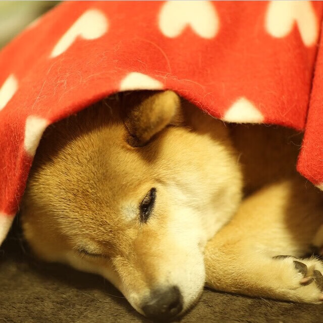 开云中国大陆-CBA联赛推广青少年篮球普及，青少年篮球选拔赛