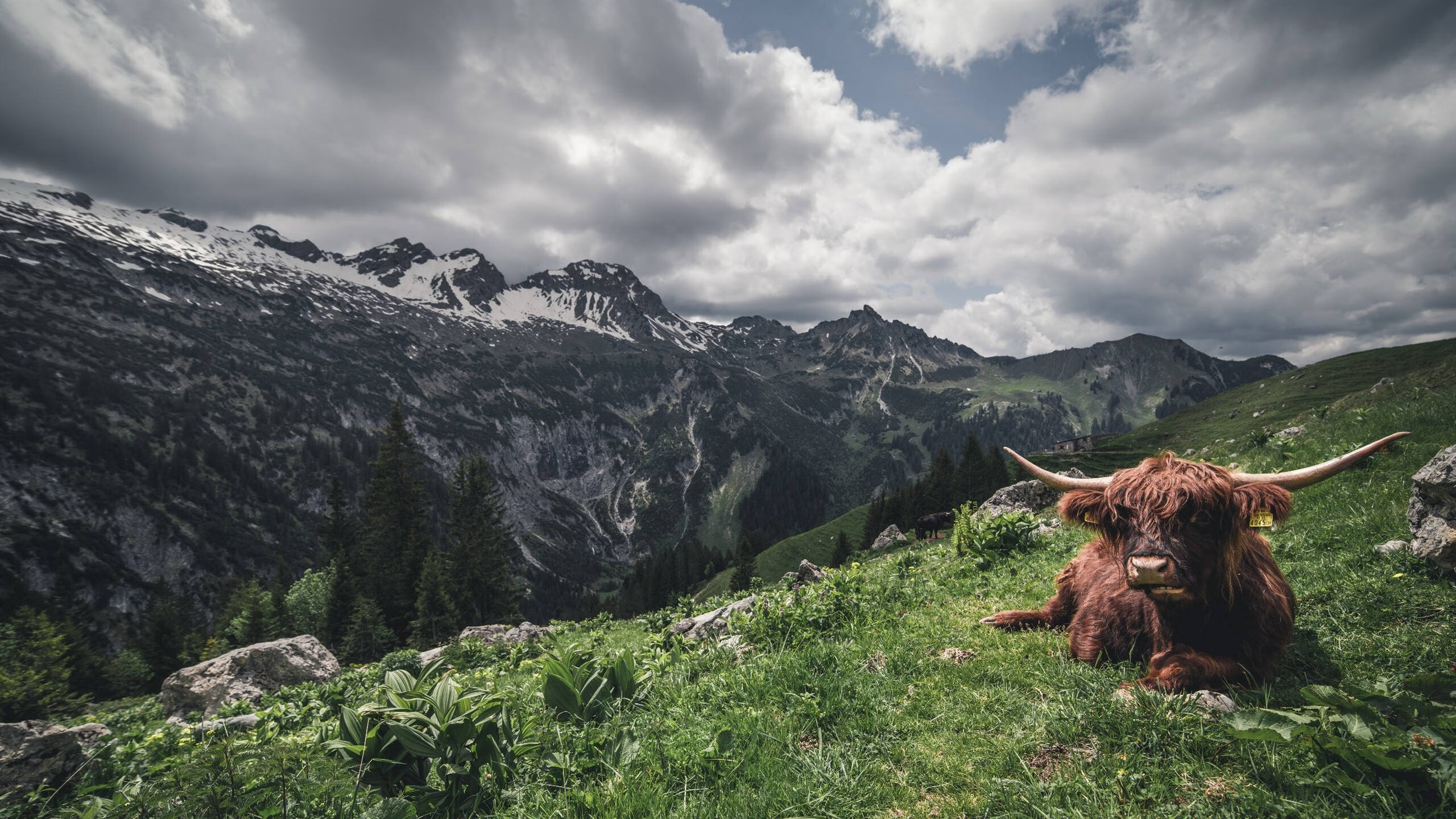 开云kaiyun-Chinese Taipei：跨越未来发展的新高峰，taipei.