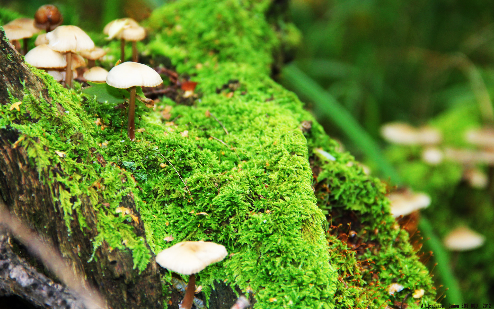 kaiyun开云·官方网站-体育新闻中心开展体育传媒人才数字技能提升培训,数字媒体人才培养 第5张 kaiyun开云·官方网站-体育新闻中心开展体育传媒人才数字技能提升培训,数字媒体人才培养 第5张