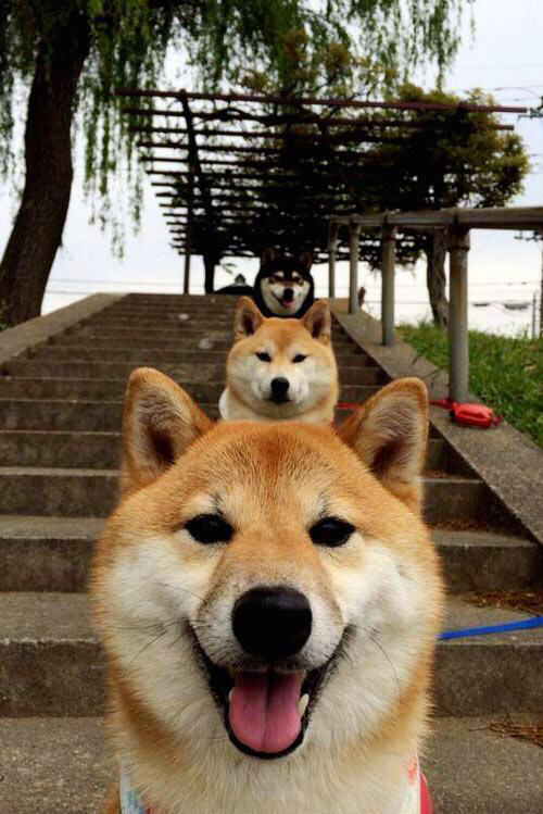 kaiyun.com-国家队得分体系如何建立多点输出模型