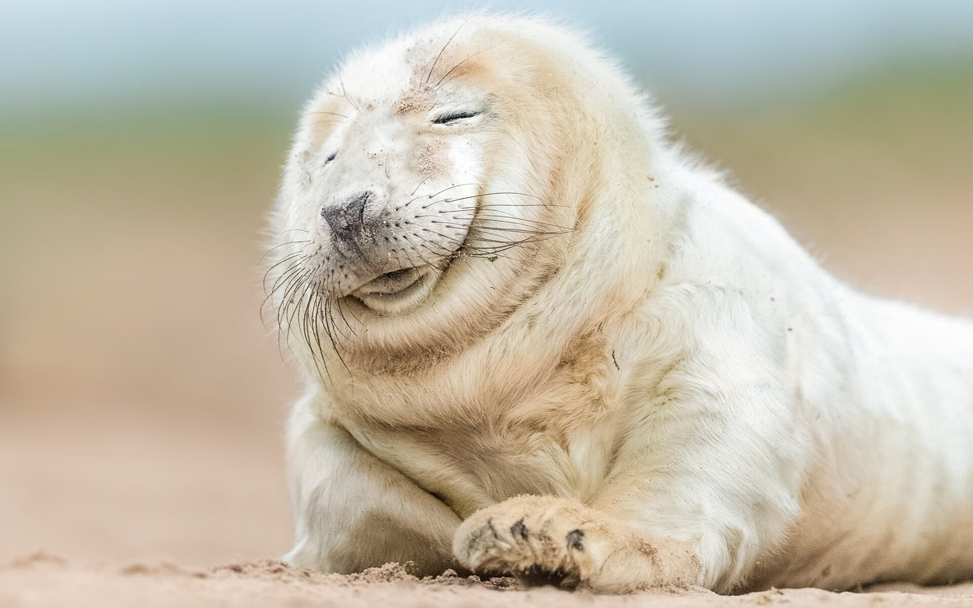 kaiyun中国官方网站-本菲卡边锋多次撕裂防线，本菲卡边后卫