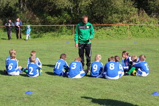 kaiyun.com-瑞典团队战术：从快攻到慢球的多变打法，瑞典几分钟进球