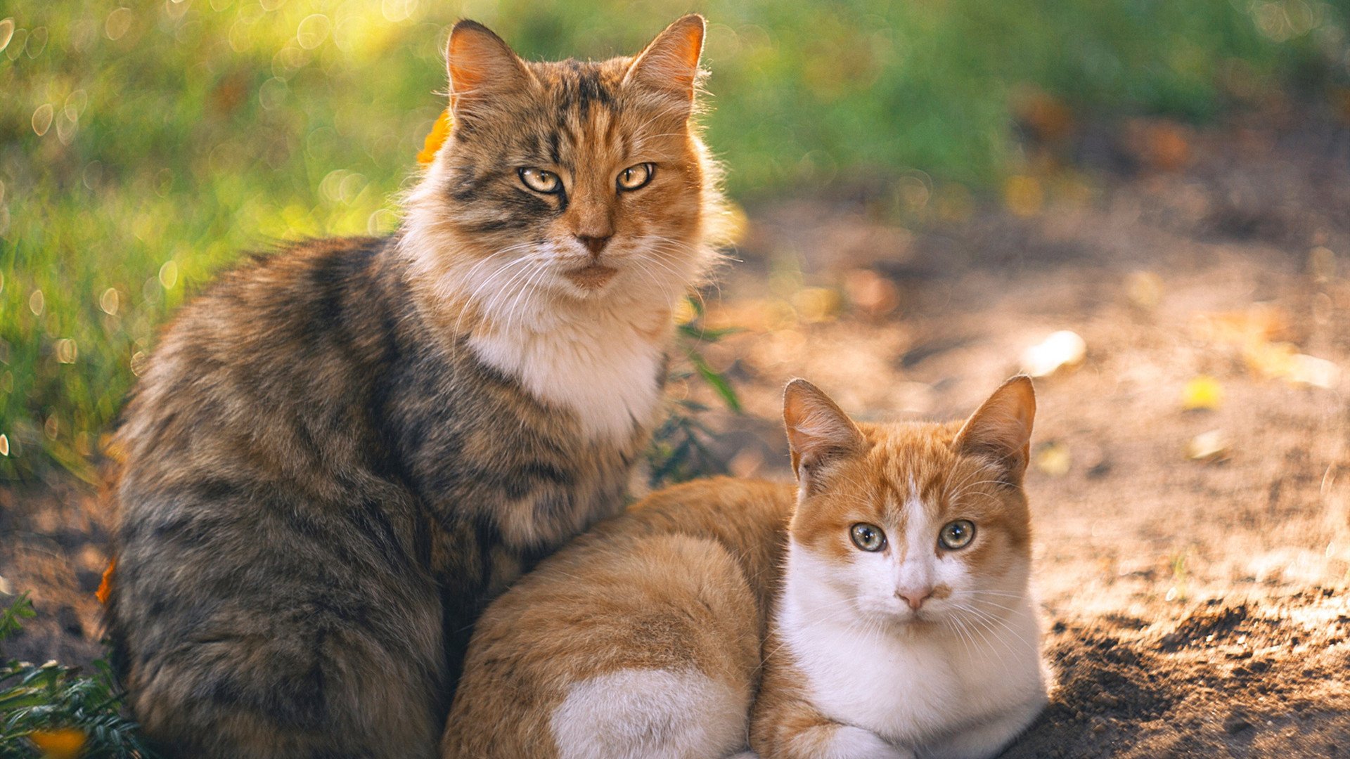 开云网页版-高节奏球队在背靠背比赛中的表现波动，比赛 背靠背