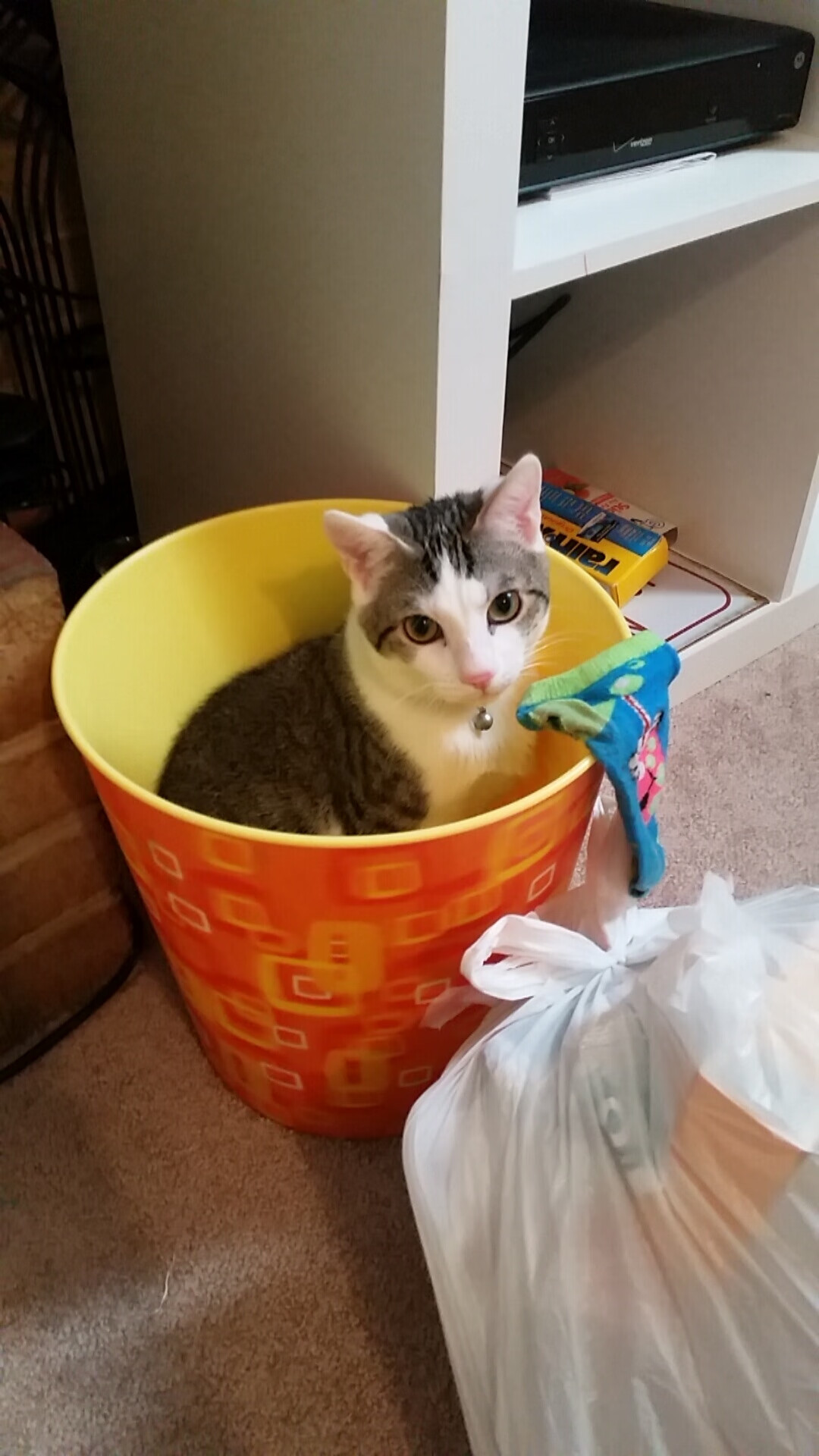 开云网页版-中国足球俱乐部支持球员多维兴趣发展方向，对中国足球俱乐部改为中性名称现象分析