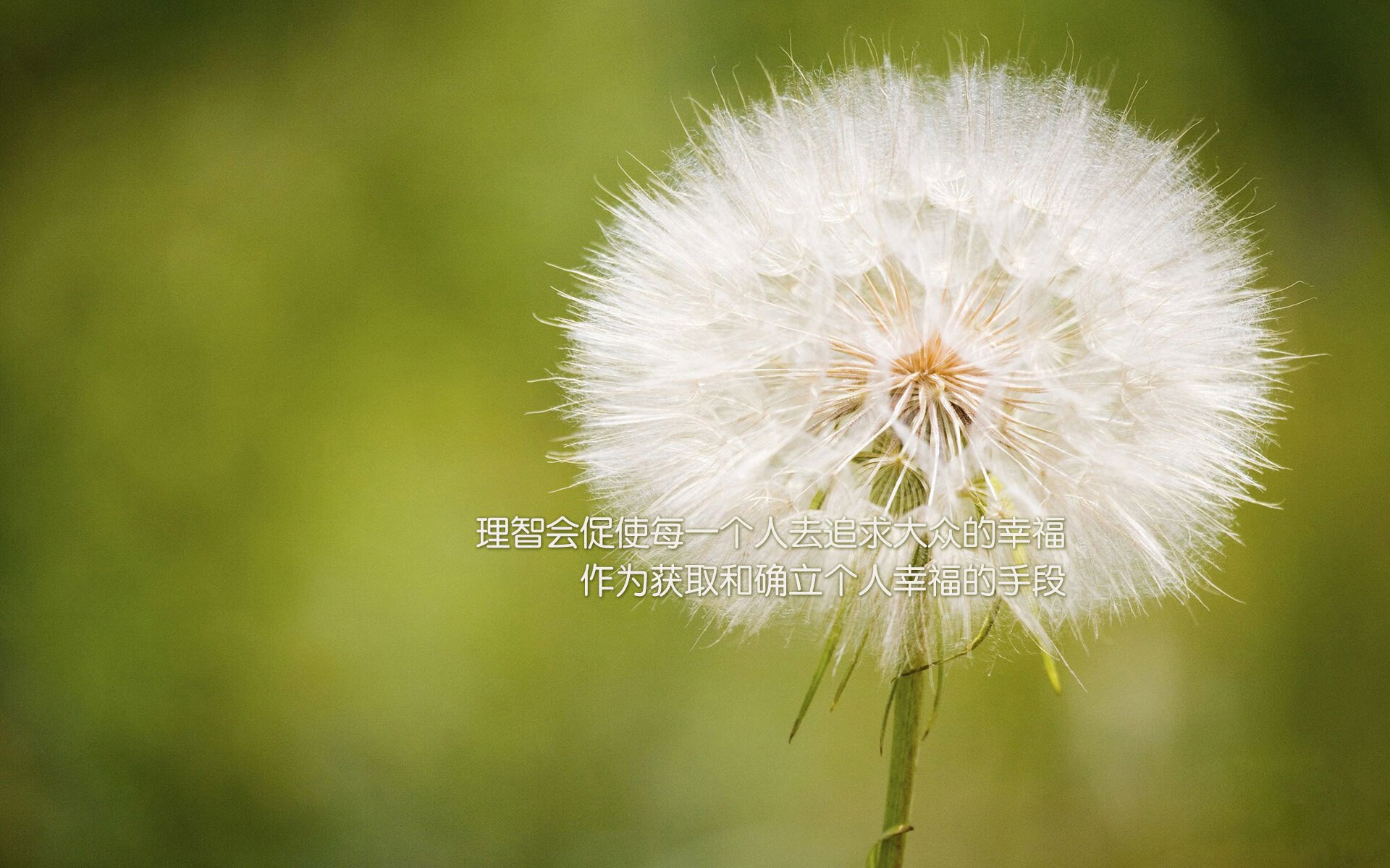 kaiyun中国官方网站-乌拉圭男篮在南美锦标赛中持续升温，体育水平不断提升，乌拉圭篮球赛