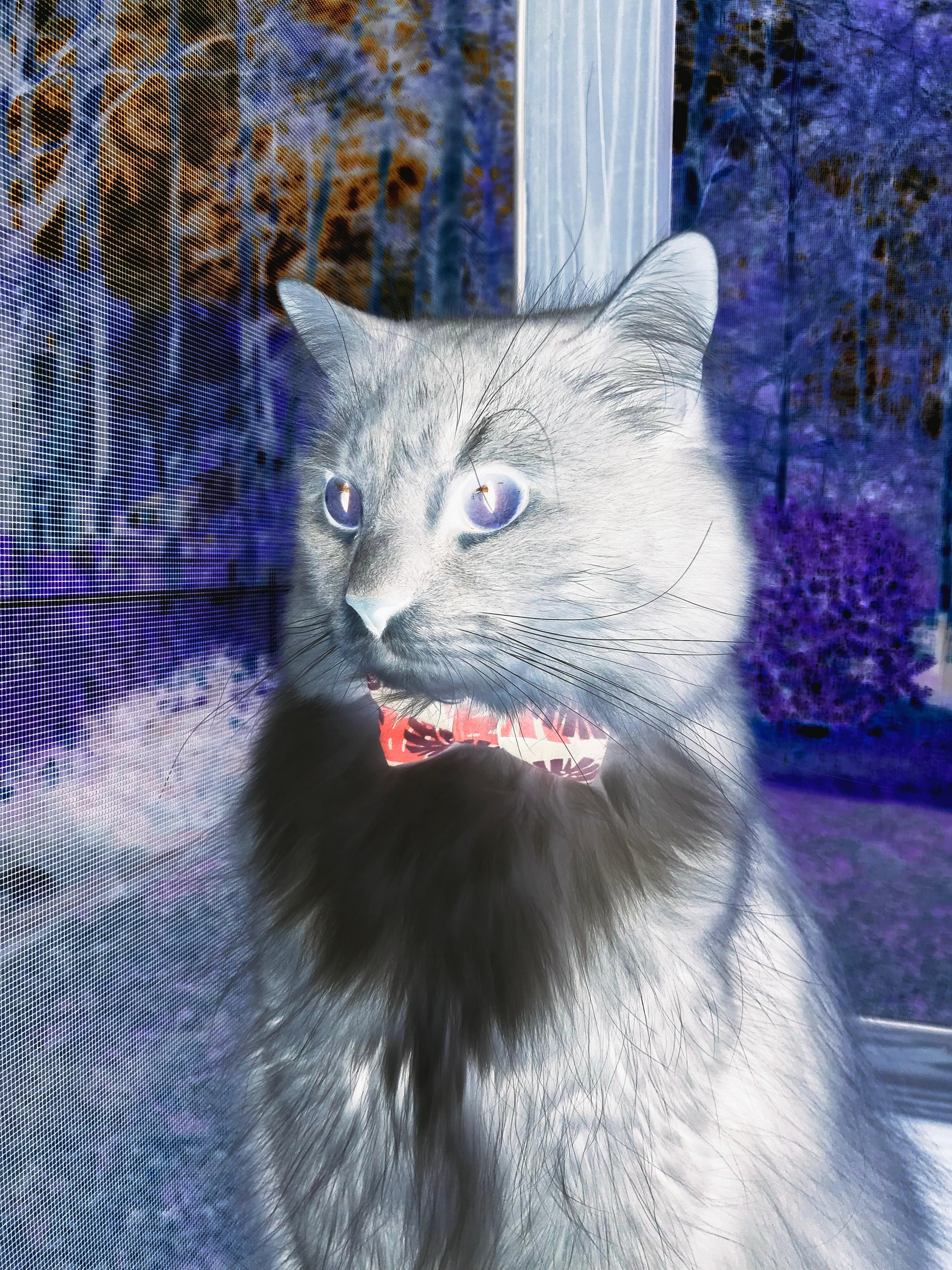 开云入口-体育新闻中心激励人心故事，体育新闻分享