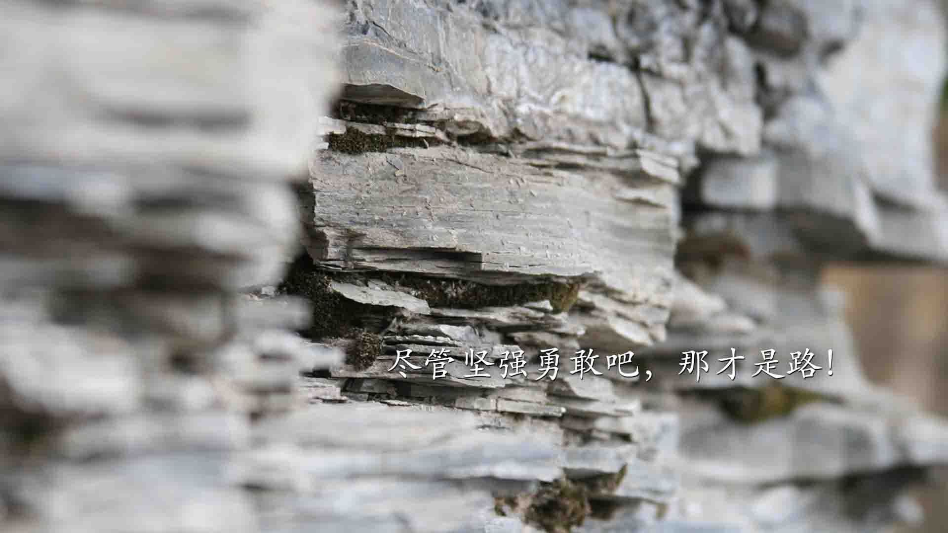 kaiyun网站-张雨霏赛后采访感谢团队配合,张雨霏临时参加接力