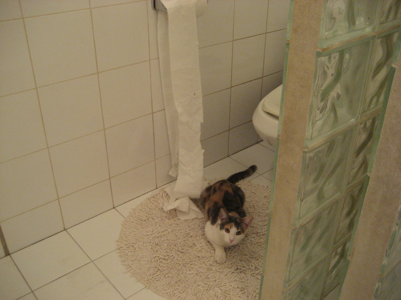 开云·Kaiyun网页版-中国篮球明星能否成为城市文化符号,篮球明星中国人