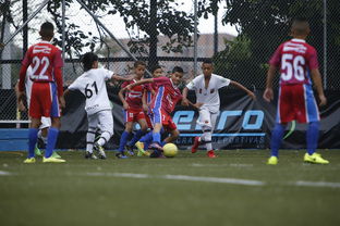 开云官网-中国足球俱乐部引进高水平外援，中国足球俱乐部引进高水平外援了吗